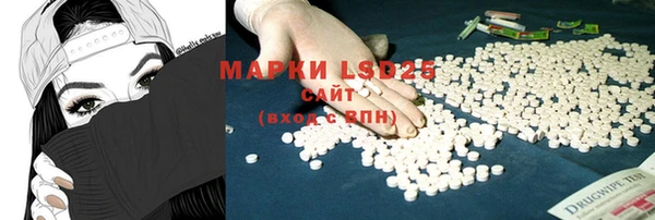 крисы Шали