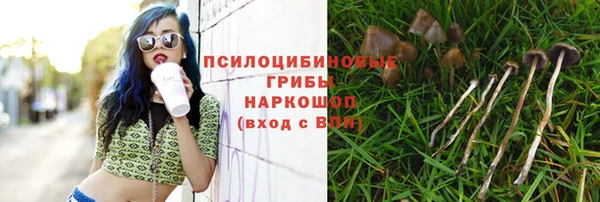 2c-b Зеленодольск