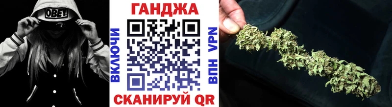 Купить где  Лиски  Бошки Шишки план 